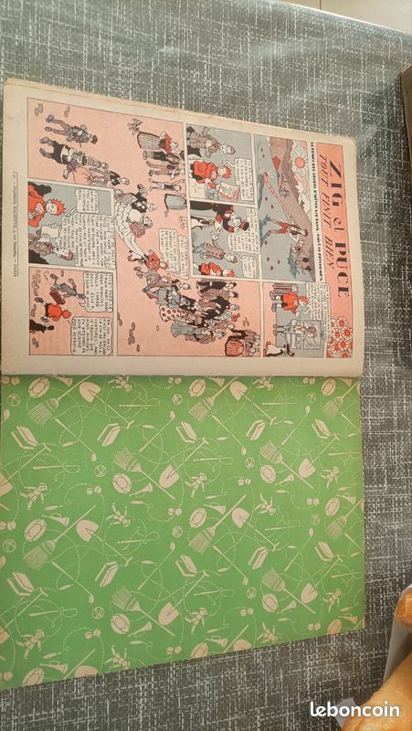 Zig et puce EO (image 11)