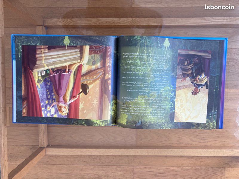 Livre Raiponce Disney hachette jeunesse (image 3)