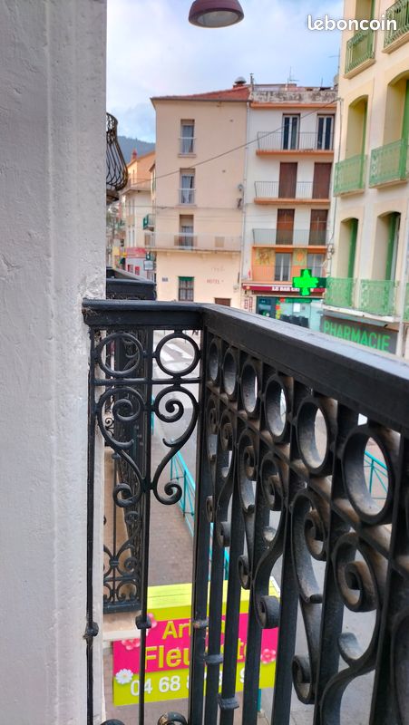 Coeur de ville amelie les bains (image 10)