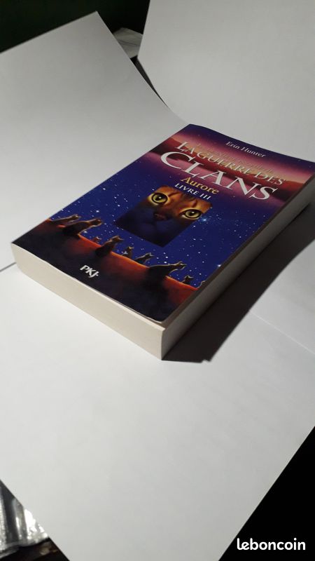 La guerre des clans cycle 2 tome 3 Aurore (image 5)