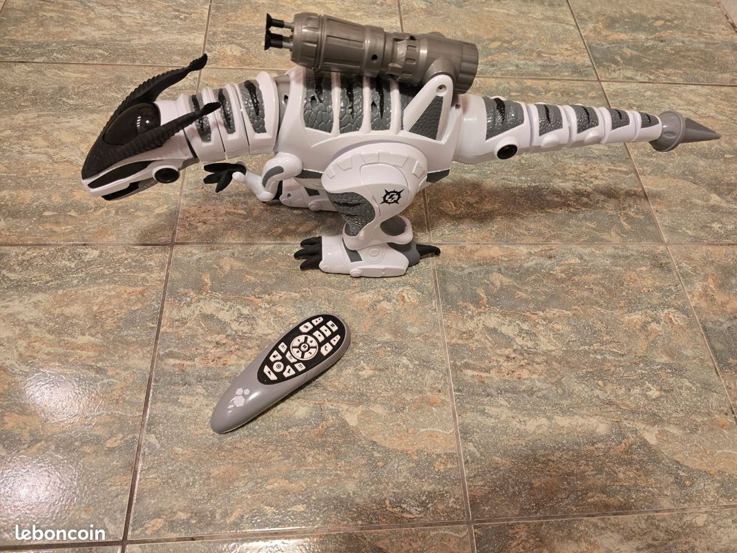 Dragon télécommandé (image 1)