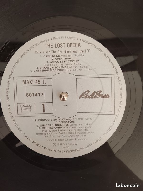 Vinyle Kimera (image 4)