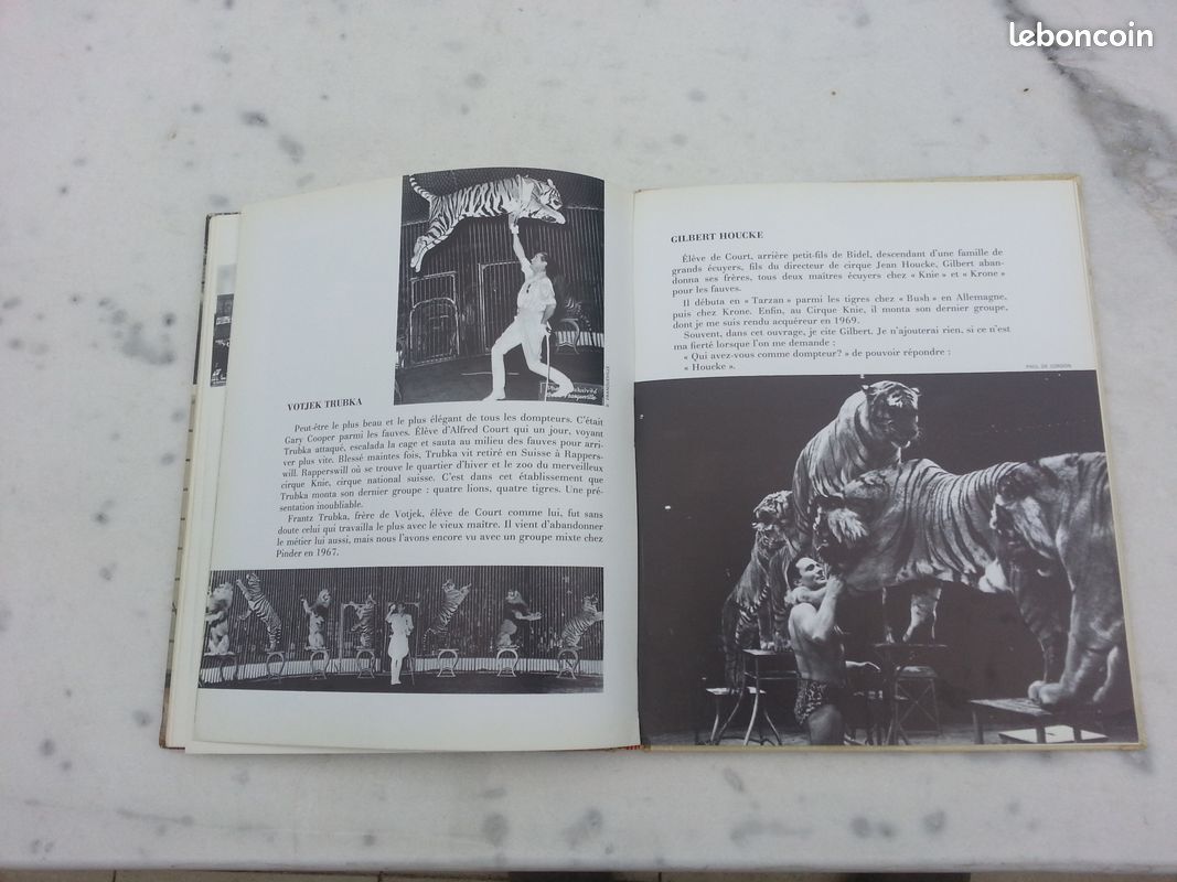 Envoyez les lions Ou le métier de dompteur (image 15)
