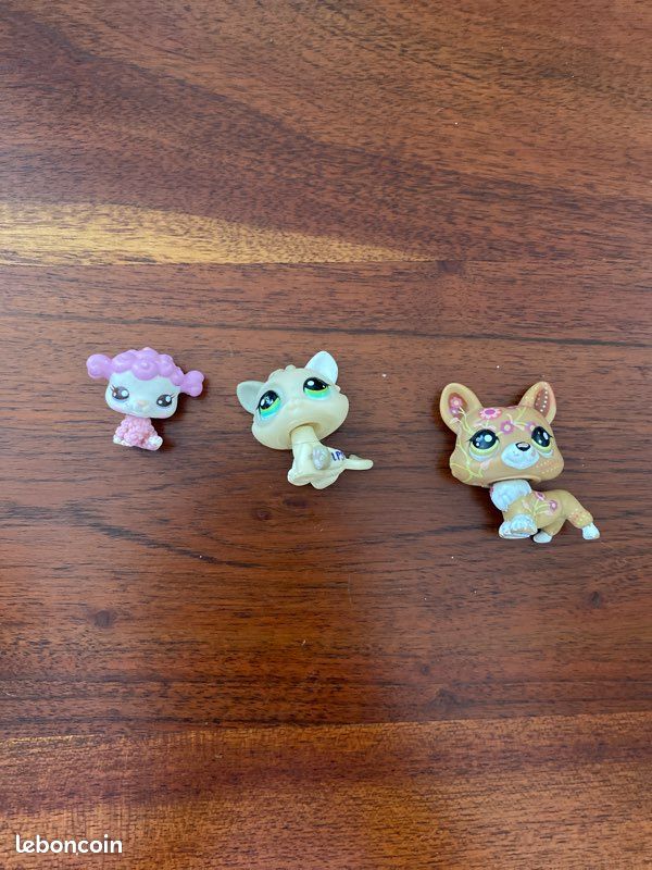 Petshops (image 1)