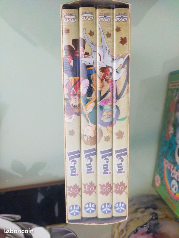 DVD Remi (image 2)