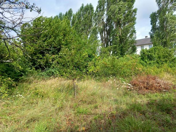 Terrain 1241 m² Bourgueil