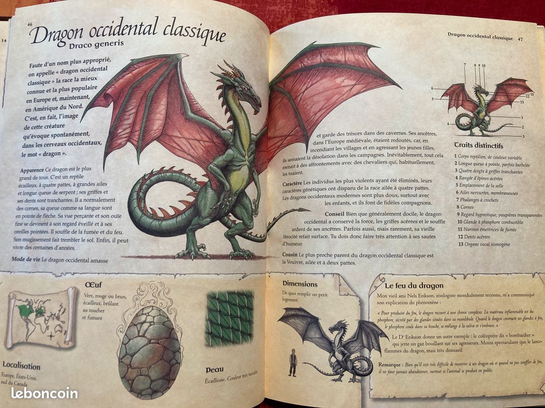 Livre sur les dragons (image 3)