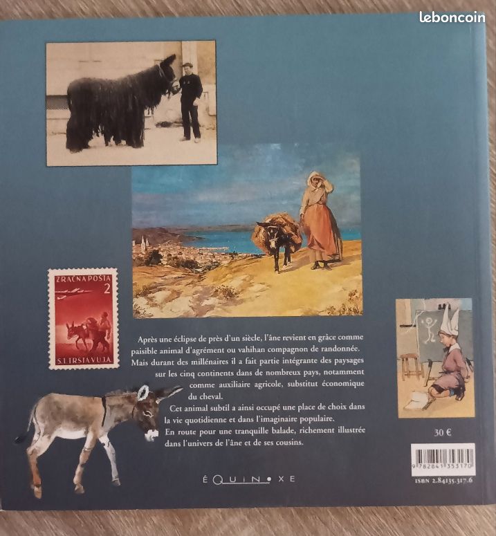 harnachement de mulets et ânes