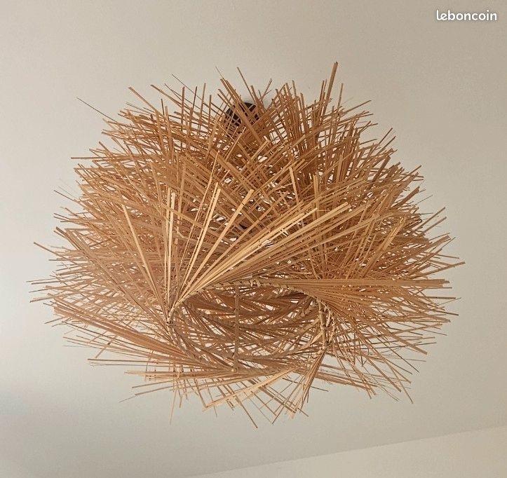Suspension (image 2)