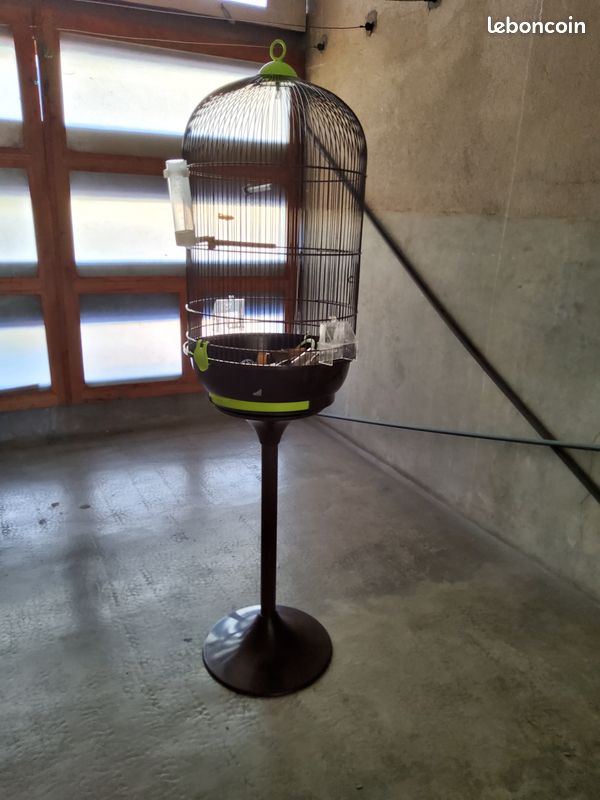 Volière oiseau (image 1)