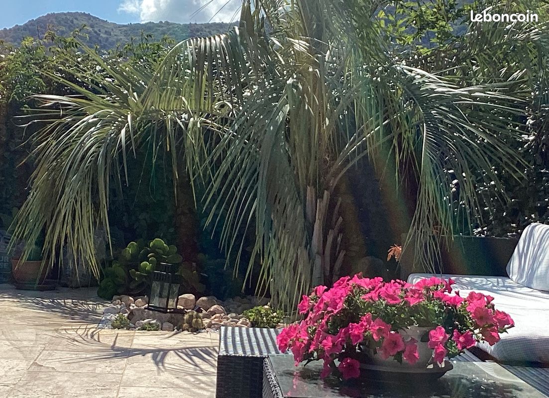 Appart F3 dans villa/vue mer/piscine/ (image 3)
