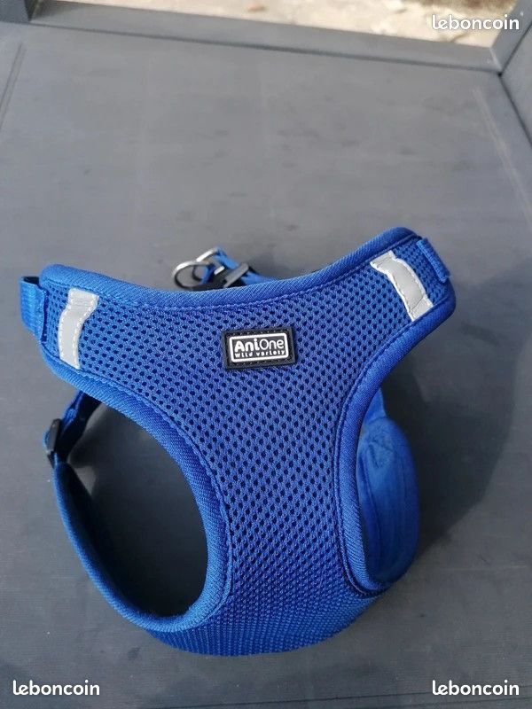 Harnais Chiot AniOne Bleu 46-66 cm (image 1)