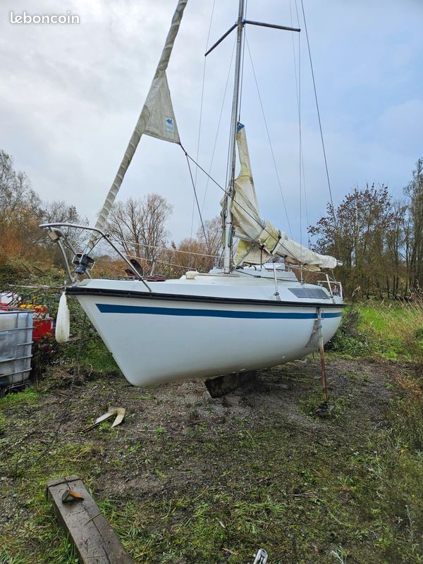 Edel 600 — View photo 1