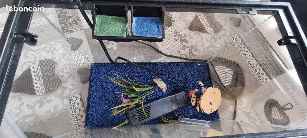 Vend aquarium avec pompe (image 2)