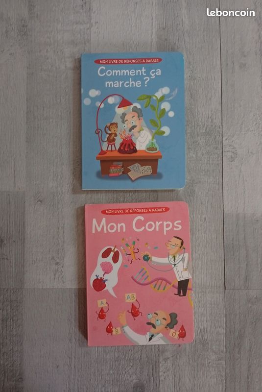 Lot de 2 livres à rabats (image 1)