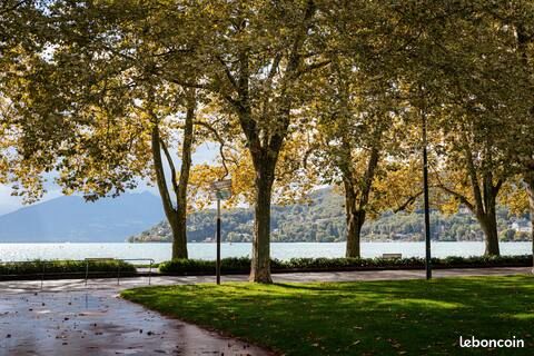 Appartement a louer annecy - 1 pièce(s) - 20 m2 - Surfyn