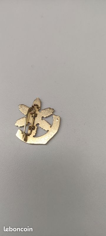Broche de ski ESF - Flocon 3 étoiles DECAT PARIS / Insigne médaille Brevet | eBay