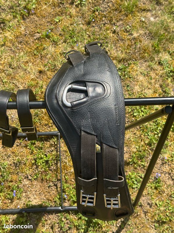 Selle dressage devoucoux Malika Lab (image 17)