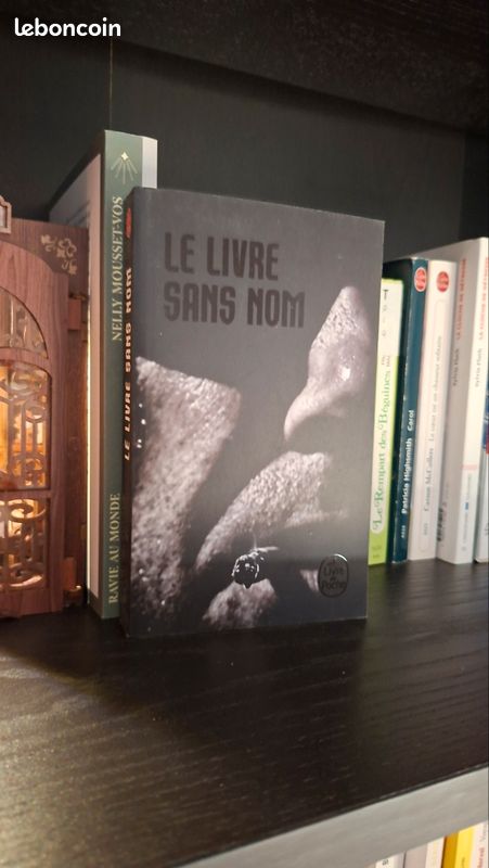 Le livre sans nom (image 1)