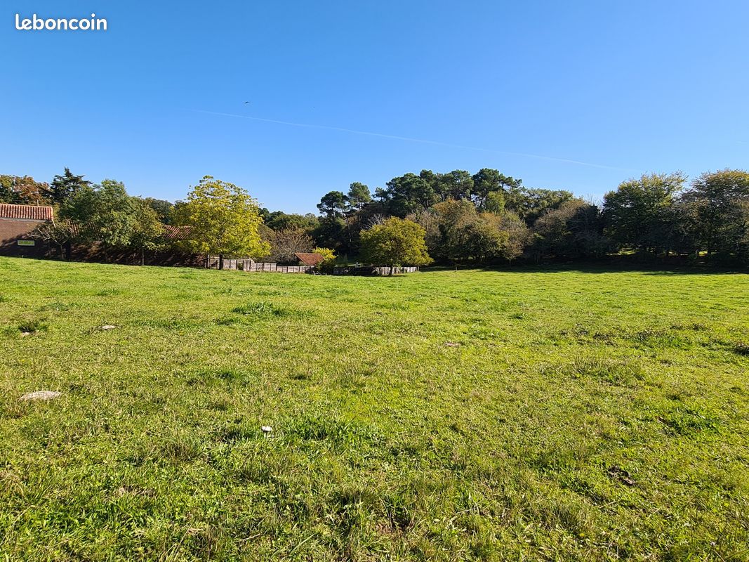 Terrain 3224 m² · à Jaure · 3 224 m² · 53 000 €
