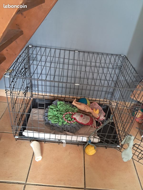Cage pour chien (image 2)