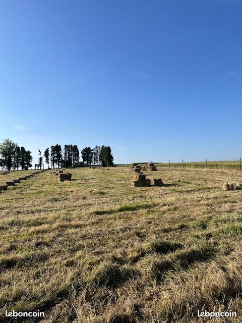 Terrain a batir en campagne 1000m · à Saint-Caradec · 26 000 €