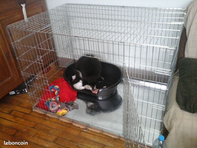 Cage XXL 120x80 (image 1)