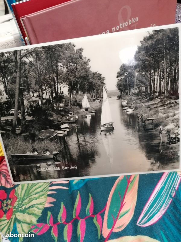 Photos vintage (image 1)