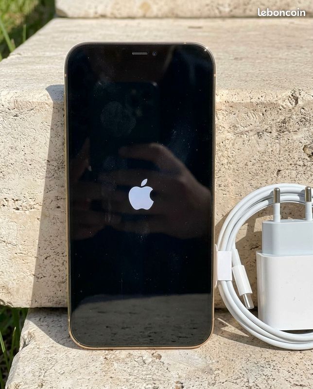 IPhone 12 Pro Max / 128 Go / Original / chargeur rapide (image 2)