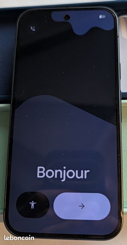 Pixel 9 256Go (image 8)