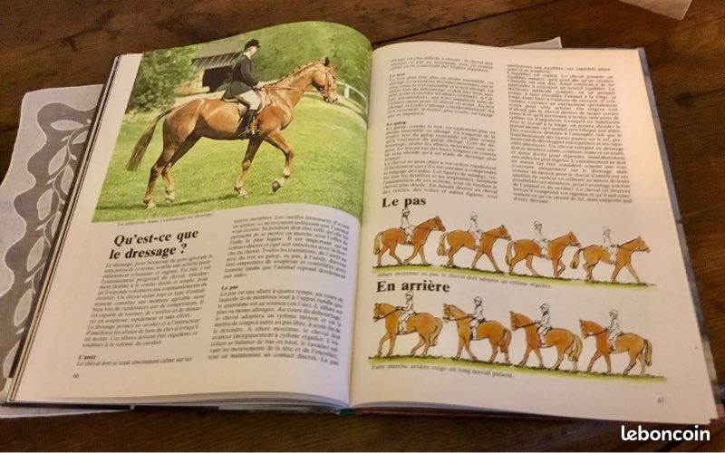 BIEN MONTER A CHEVAL EDITIONS GRUND très bon état (image 11)