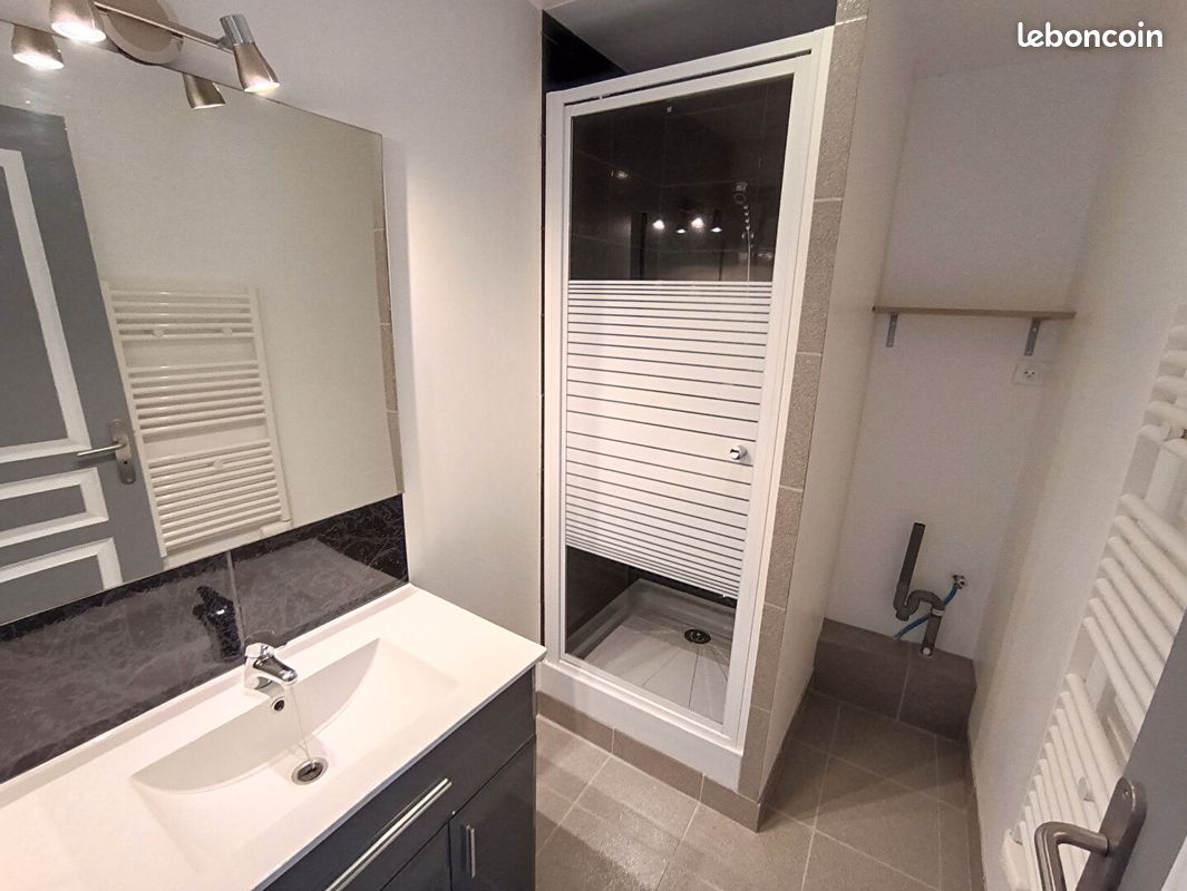 Appartement 2 pièces 49 m² - Aixe-sur-Vienne 87700 (image principale 4)
