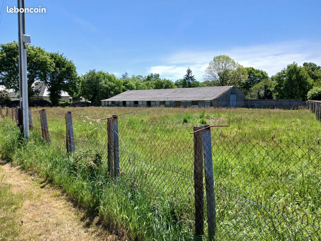 TERRAIN CONSTRUCTIBLE DE 4000 m2 · à Allaire · 160 000 €