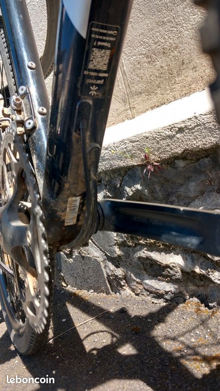 GIANT FASTROAD SL taille L (image 16)