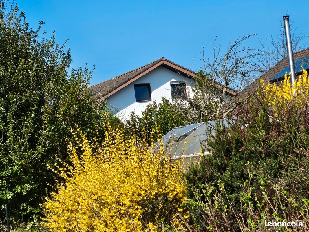 Maison 12 pièces 261 m² · à Strasbourg · 261 m² · 580 000 €