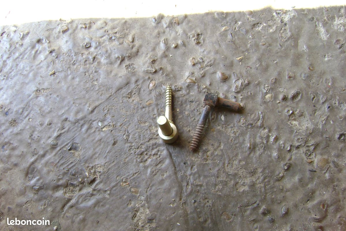 Gonds a vis a bois (image 2)