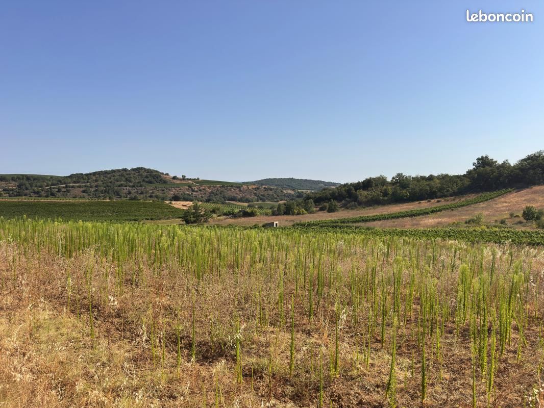 Terrain Pauligne · 73 500 €