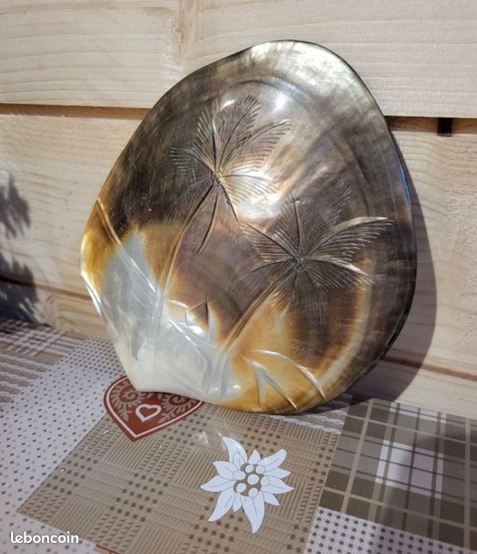 Nacre Naturelle De Thaïlande – 39,38 Carats – 37 X 25,5 Mm – Non Traitée – P261.129T