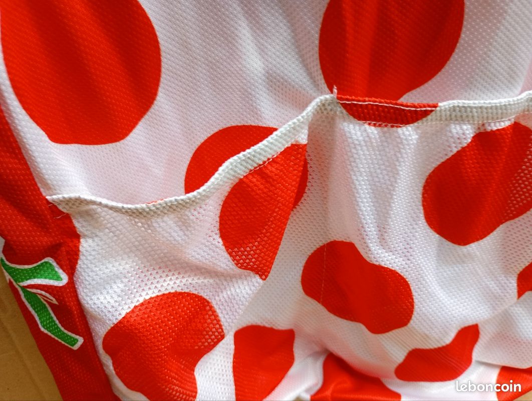 Maillot de cyclisme des années 2000 - France