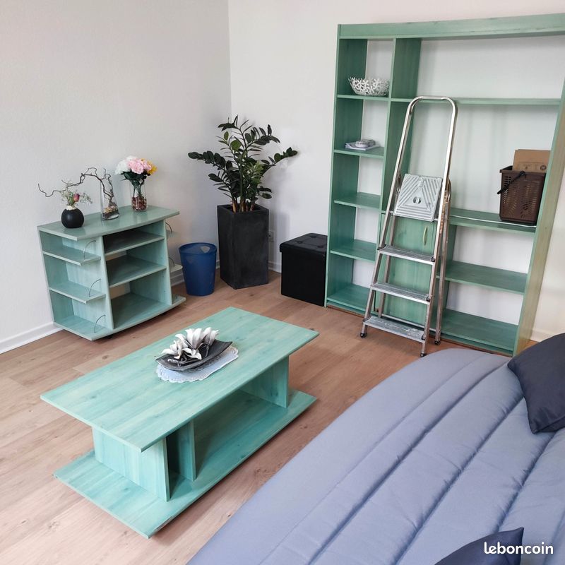 Appartement 1 pièce 39 m² · à Strasbourg · 39,4 m² · 710 €/mois