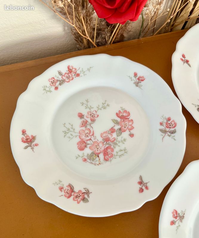 Lot De 11 Assiettes à Dessert Arcopal - Motif Fleurs Rouges Et Roses, Verre Opalin, Occasion