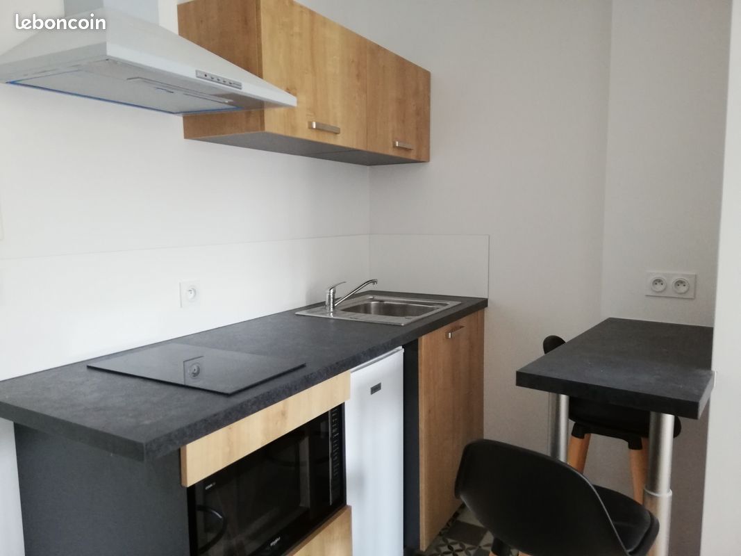 T1 secteur Mairie/Fac de Droit - Limoges 87000 Centre-Hôtel de Ville Emailleurs (image principale 1)