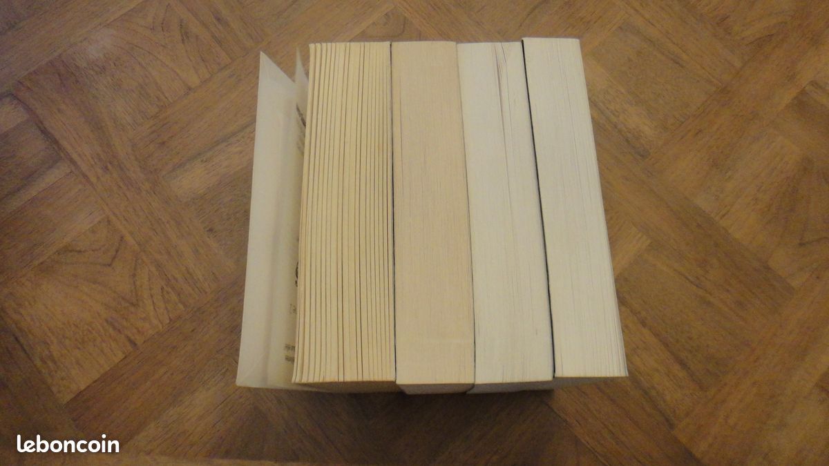 Collection complète 16, 17, 18, 19 Lunes – Kami Garcia & Margaret Stohl (image 4)