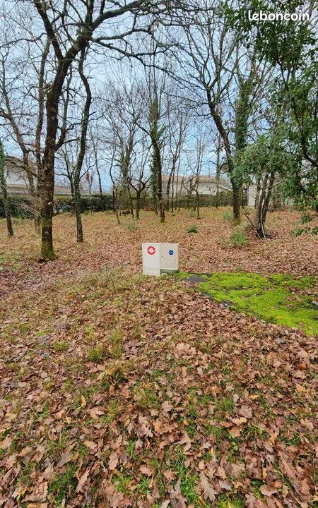 Terrain calme et arboré de 800 m2 à Andernos-les-Bains · 485 000 €