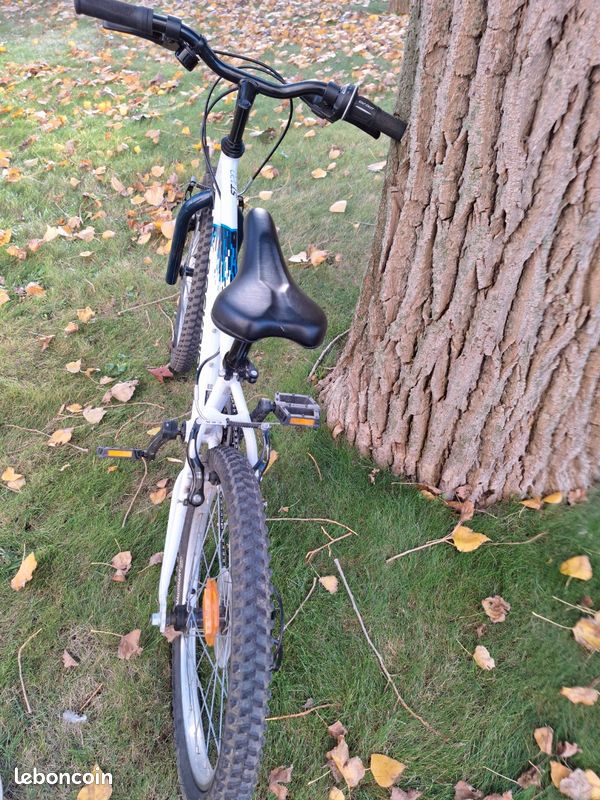 Vélo enfant Rockrider ST120 (20 pouces) (image 5)