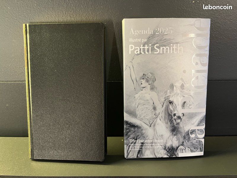 PATTI SMITH - Página 7 Ec8213ece9e0c48925c56c69fd3927945252d331