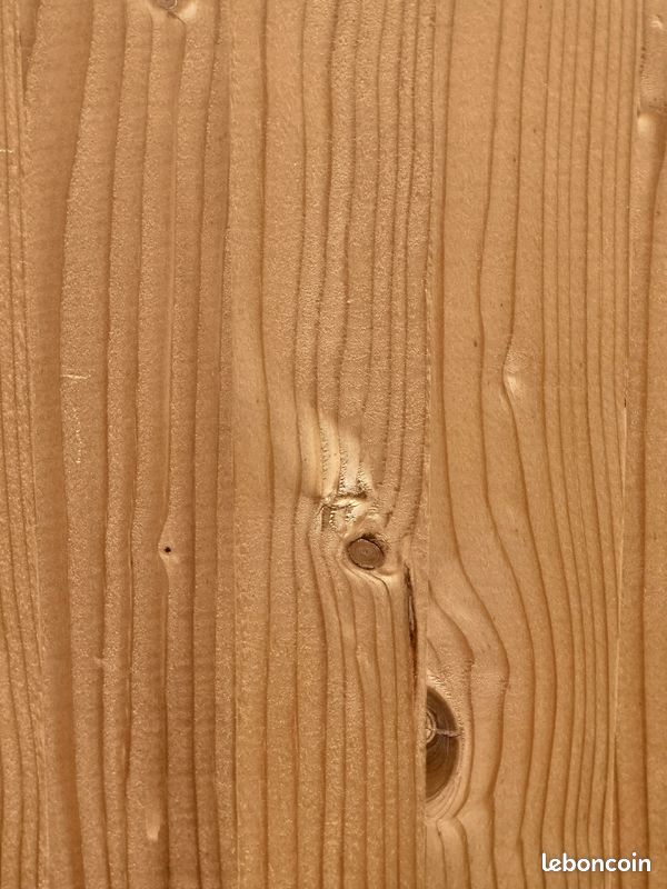Fragment De Bloc De Bois Imprimé Français Du 18ème Siècle - Pièce Historique Pour Décoration Ou Collection