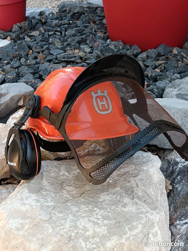 Casque forestier (image 1)
