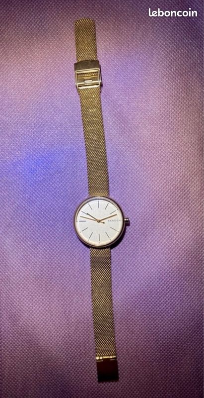 Montre Skagen (image 2)