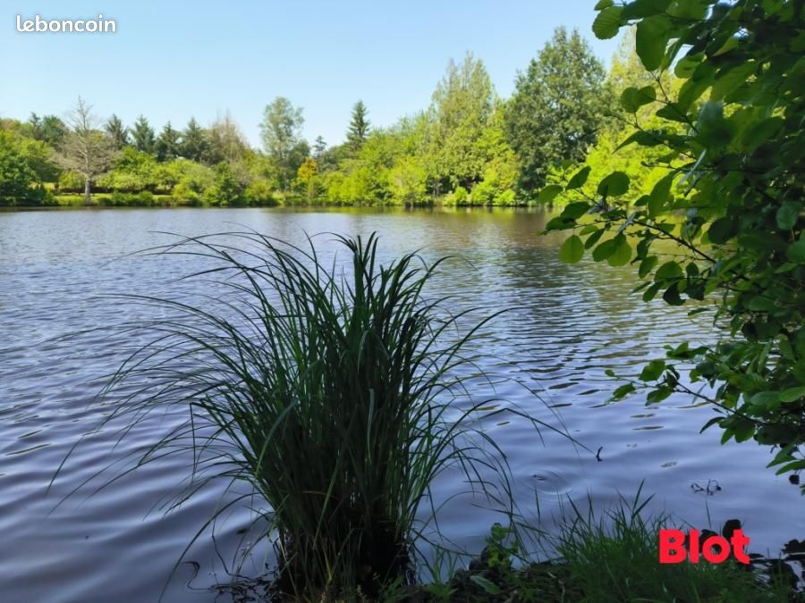 Propriété 3 pièces 48 m² (image 9)
